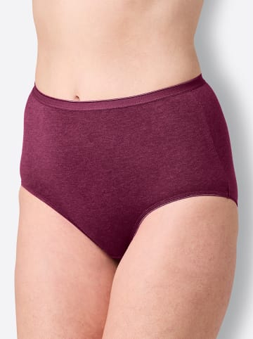 WITT WEIDEN Taillenslip in 2x malve-meliert + 2x marine-meliert