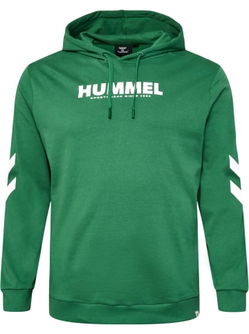 Hummel Hoodie Hmllegacy Logo Hoodie Plus in FOLIAGE GREEN