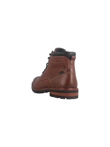 Fretz Men Boots in Braun