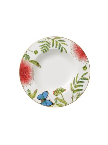 Villeroy & Boch Suppenteller Amazonia Anmut in ø 24,6 cm in bunt