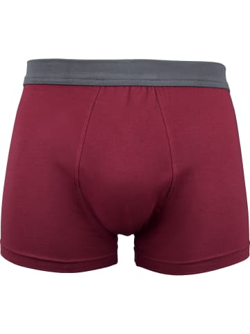 Erwin Müller Baumwolle, Single-Jersey Pants im 4er-Pack in anthrazit
