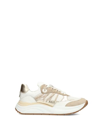 POELMAN Poelman CHARU Damen Sneaker