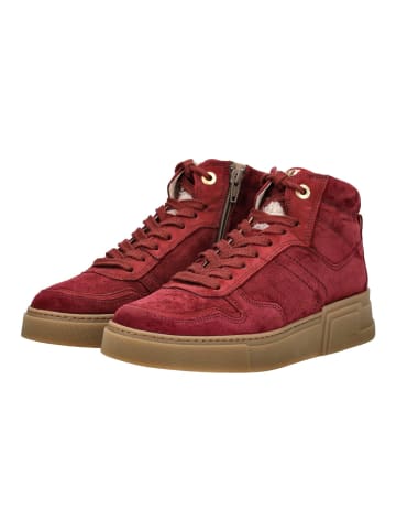 Paul Green Sneaker in Wine