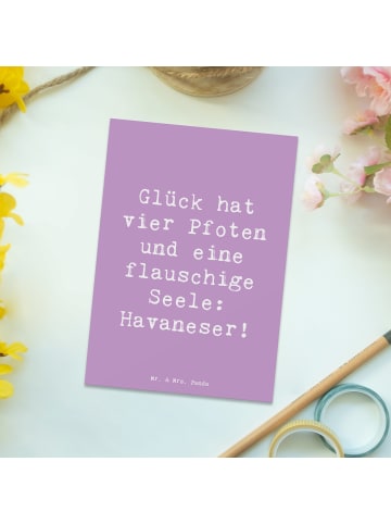 Mr. & Mrs. Panda Postkarte Spruch Havaneser Glück mit Spruch in Lavendeltraum