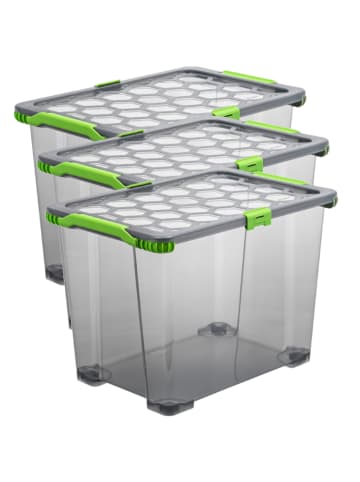 Rotho 3er Set Aufbewahrungsbox mit Deckel 65l EVO Total in Anthrazit tr.