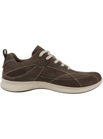 Ecco Sneaker low Exceed in dunkelbraun