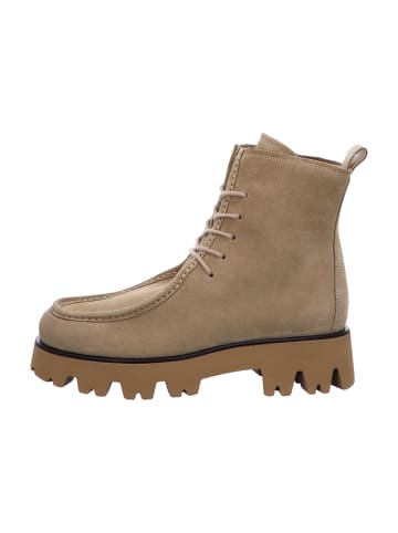 Paul Green Schnürstiefeletten in Beige