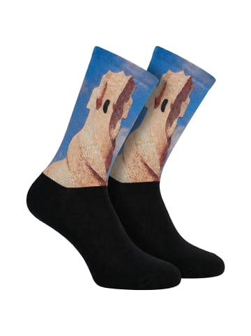 Jenes Socks Socken in Multicolored