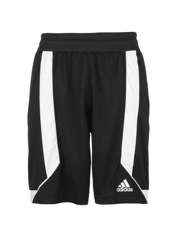 adidas Performance Trainingsshorts Creator 365 in schwarz / weiß