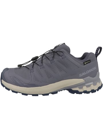 SALOMON Laufschuhe XA PRO 3D V9 GTX in blau
