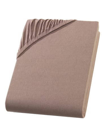 Carpe Sonno Jersey Spannbettlaken in Nougat