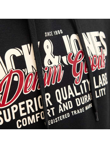 Jack and Jones Hoodie JJELOGO Sweat Hood 2 col 25/26 in Schwarz