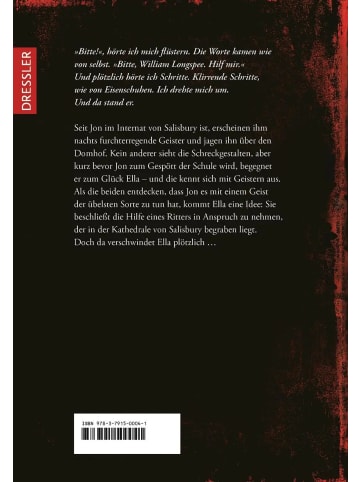 Dressler Verlag GmbH Geisterritter