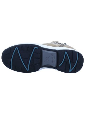 Xsensible Schnürschuhe Grenoble in nutmeg