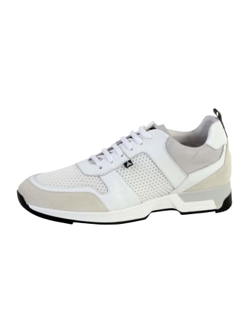 Azzaro ROSARIO-Sneaker Grau