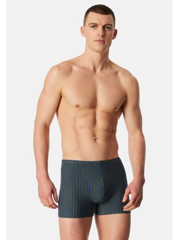 Schiesser Retro Short / Pant 95/5 Essentials - Cotton in Dunkelblau / grün