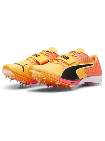 Puma Laufschuh "evoSPEED Long Jump Nitro 2" in Orange