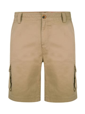 Threadbare Shorts THB Short Bute Cargo in Stone