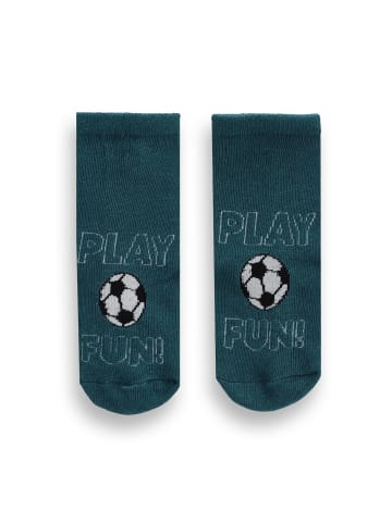Coccodrillo Socken in grün