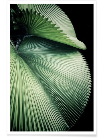 Juniqe Poster "Sharp Palm" in Grün