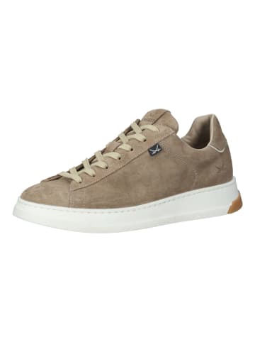 Sansibar Sneaker in Beige