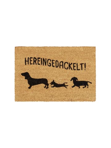 relaxdays Fußmatte Hereingedackelt in Braun - (B)60 x (T)40 cm