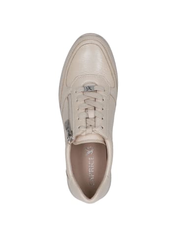 Caprice Sneaker in ECRU PERL.DEER