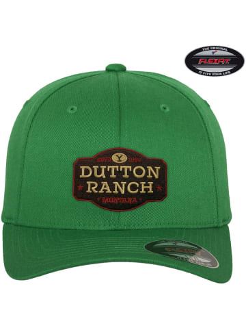 yellowstone Cap in Grün