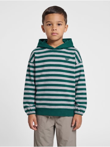 Hummel Kapuzenpullover Hmljr Conelly Lebensstil Kinder in FOREST BIOME