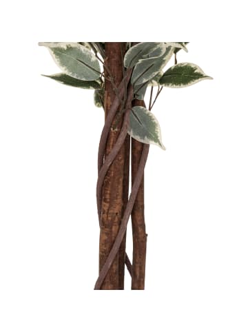 Atmosphera Créateur d'intérieur Künstlicher Ficus in grün