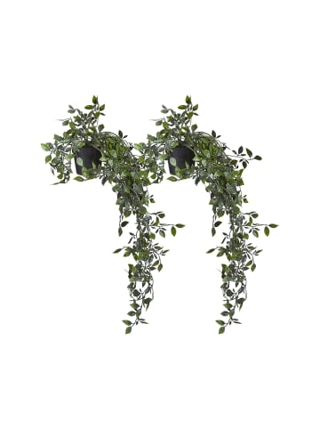 2 x Kunsthängepflanze "Efeutute" in Grün/ Schwarz - (H)60 x Ø20 cm