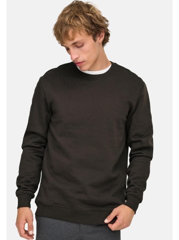 ONLY & SONS Sweatshirt Connor in Mulch