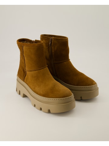 Paul Green Winterstiefeletten in Braun