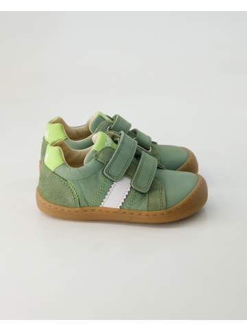 KOEL Barfußschuhe in Grün