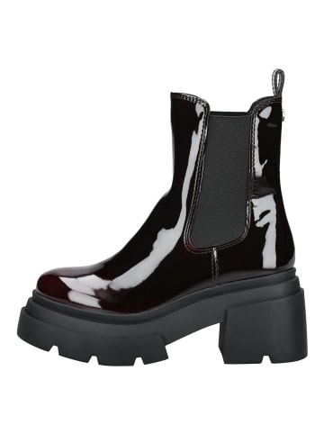 Steve Madden Stiefelette in Dunkelrot Lack