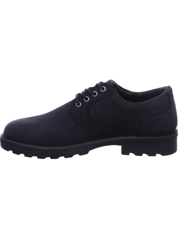 Camel Active Schnürschuh in schwarz