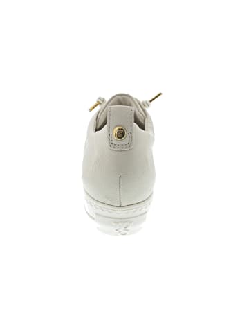 Paul Green Sneaker Beige