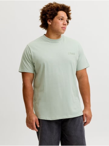 JACK & JONES PLUS 3er-Pack T-shirt in Omphalodes