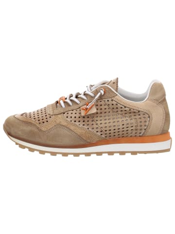 Cetti Sneaker Low in beige