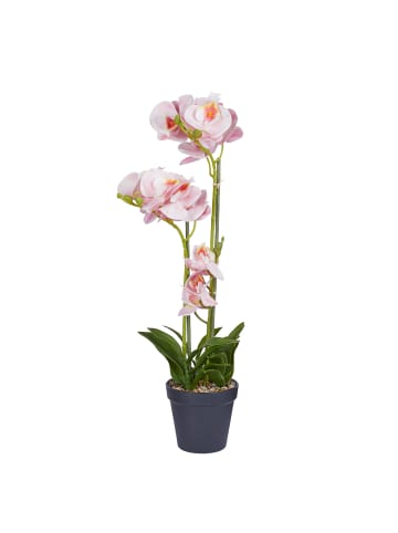 Butlers Kunstblume FLORISTA Orchidee in Hellorange