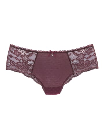 s.Oliver Panty in cassis