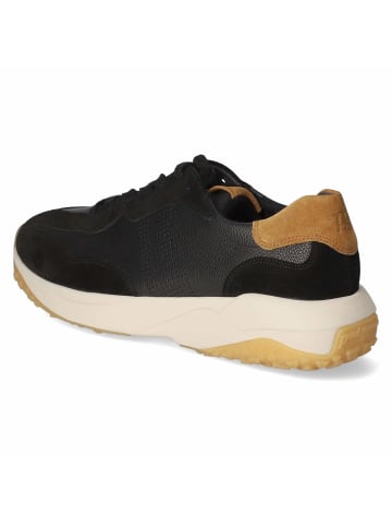 Paul Green Schnürhalbschuh in schwarz