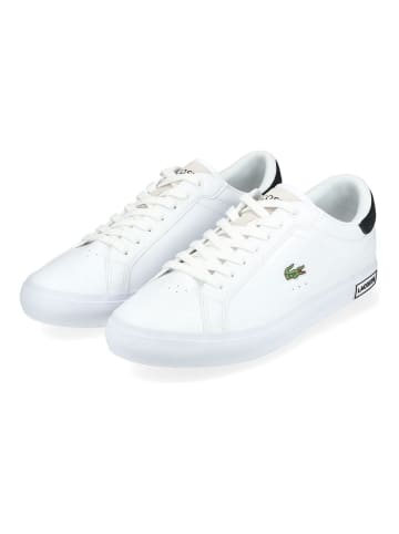 Lacoste Sneaker in Weiß/Schwarz