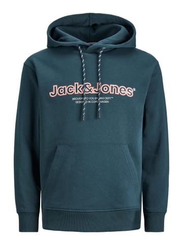 Jack & Jones Sweatshirt JORLAKEWOOD in Grün