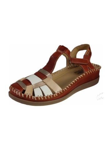 Pikolinos Komfort Sandalen in Braun