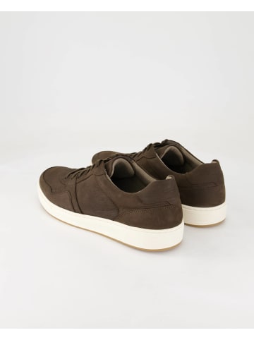Pius Gabor Sneaker low in Braun