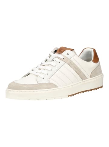 Bullboxer Sneaker in Weiß