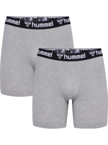 Hummel 2-er Pack Retro Boxershorts Trunks Set Unterwäsche HMLBOXERS in Grau