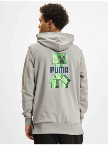 Puma Hoodie in grey
