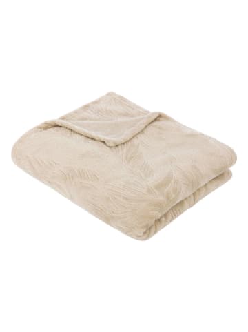 Atmosphera Créateur d'intérieur Kuscheldecke in beige